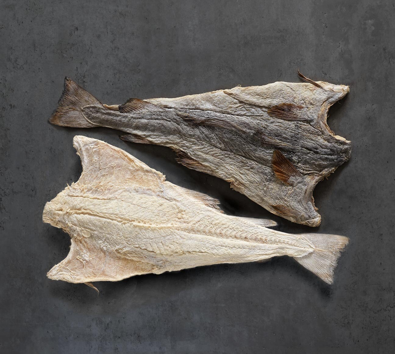 ปลาคลิปฟิช