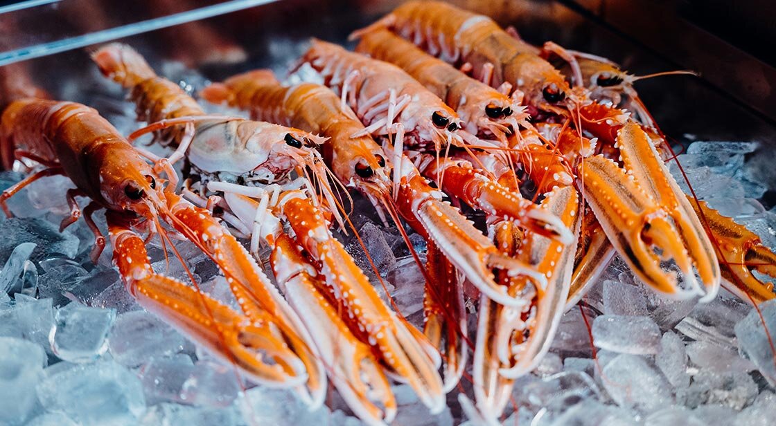 กุ้งลังกู้สตีน