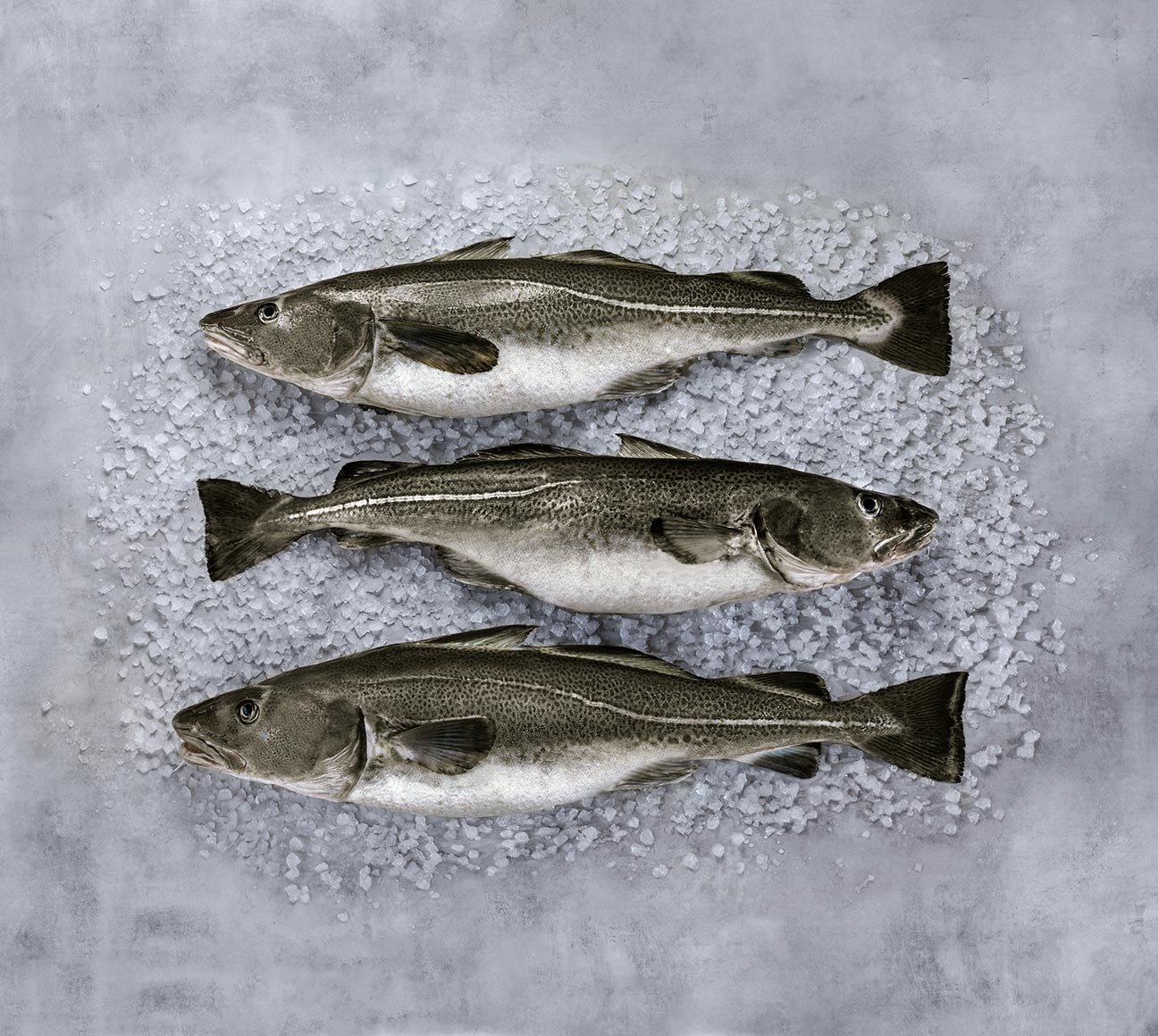 ปลาสเครย์