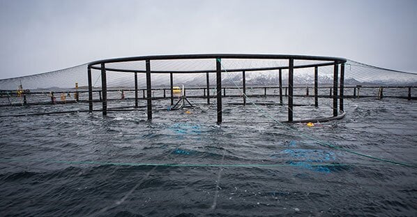 คอกสัตว์น้ำ