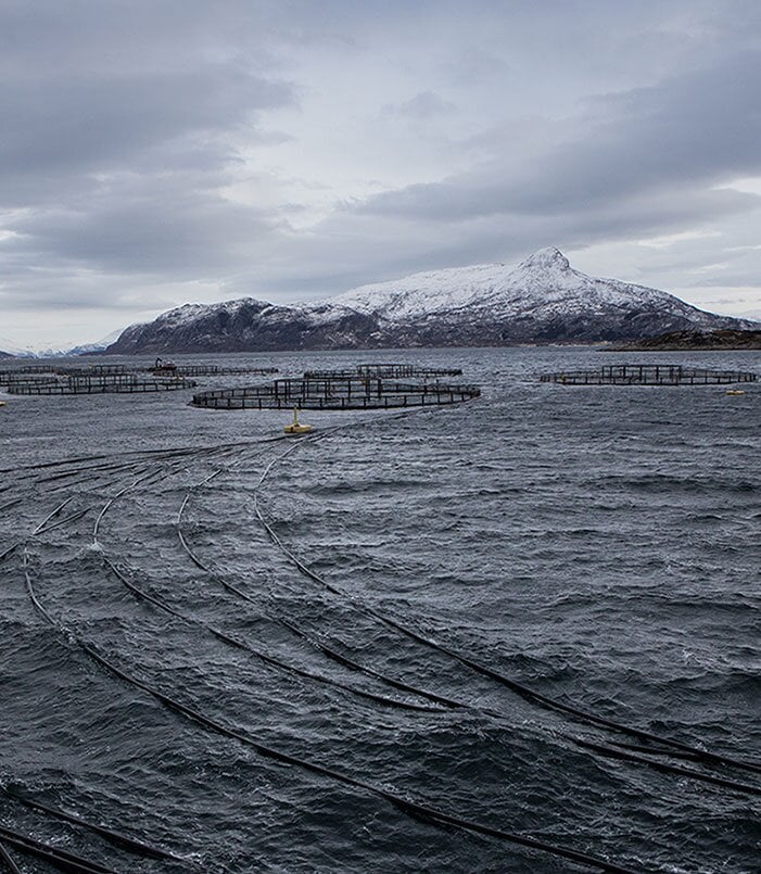 คอกสัตว์น้ำ