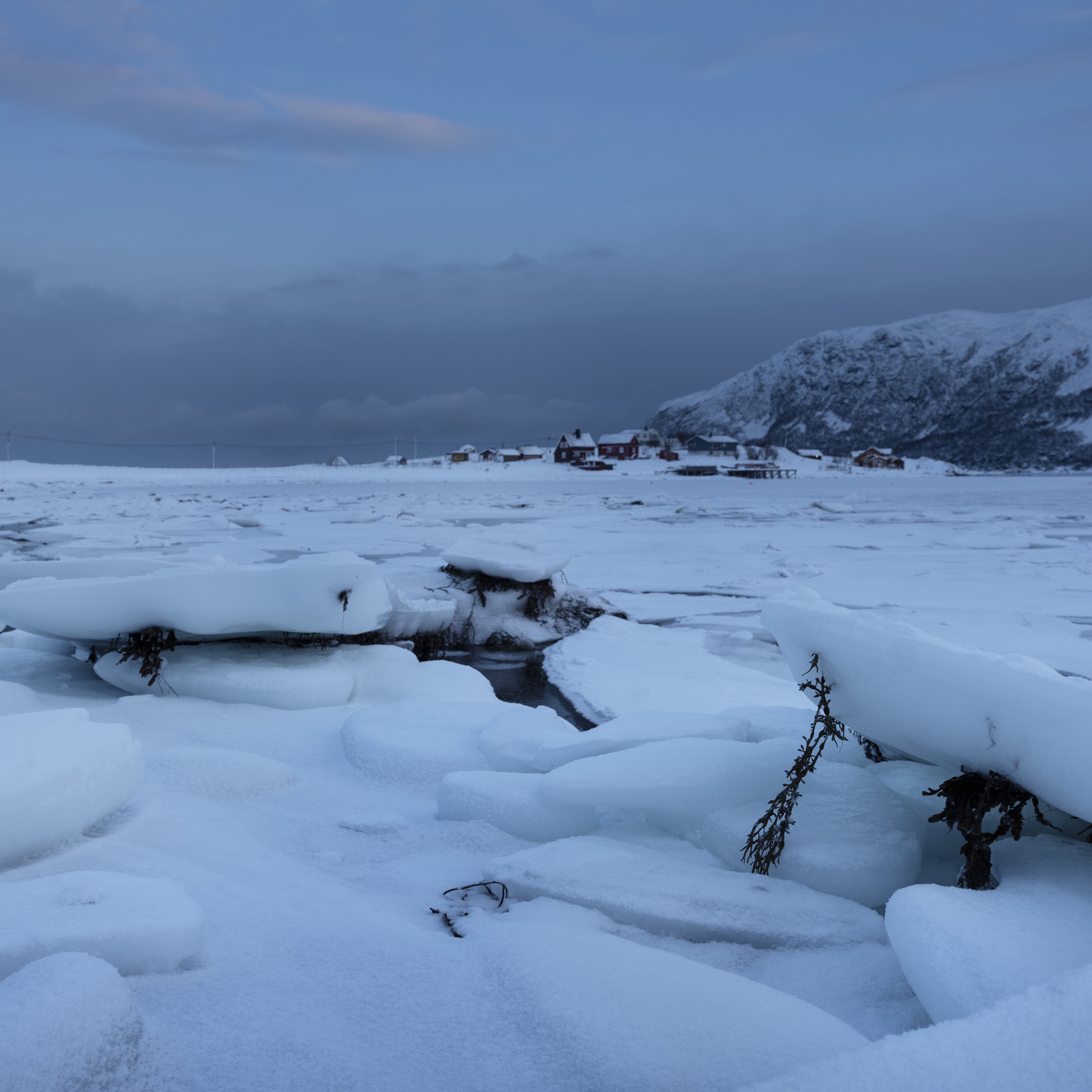 เกล็ดหิมะ