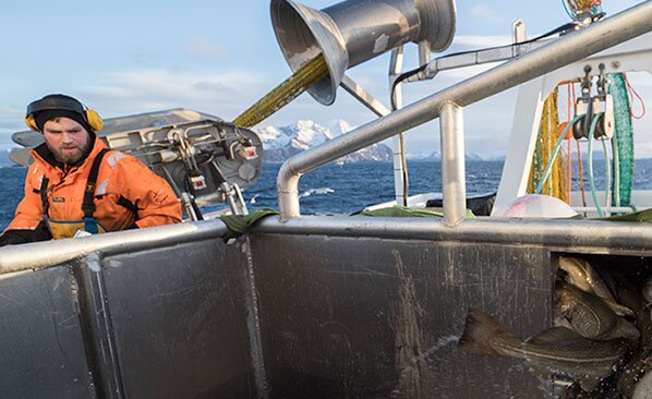 ชาวประมงมองดูการจับปลา