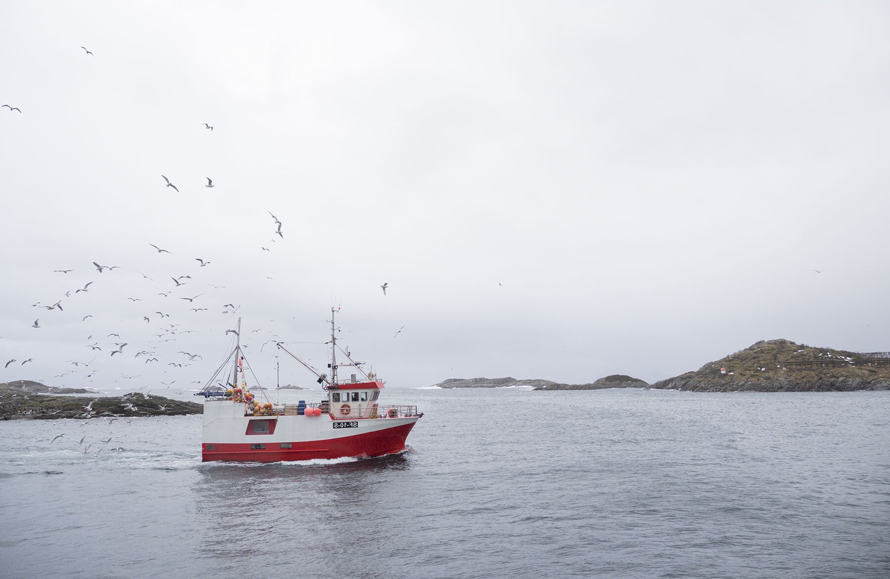 เรือในทะเล